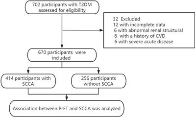 Perirenal fat thickness as a superior obesity-related marker of subclinical carotid atherosclerosis in type 2 diabetes mellitus